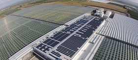 New Mexico’s community solar program