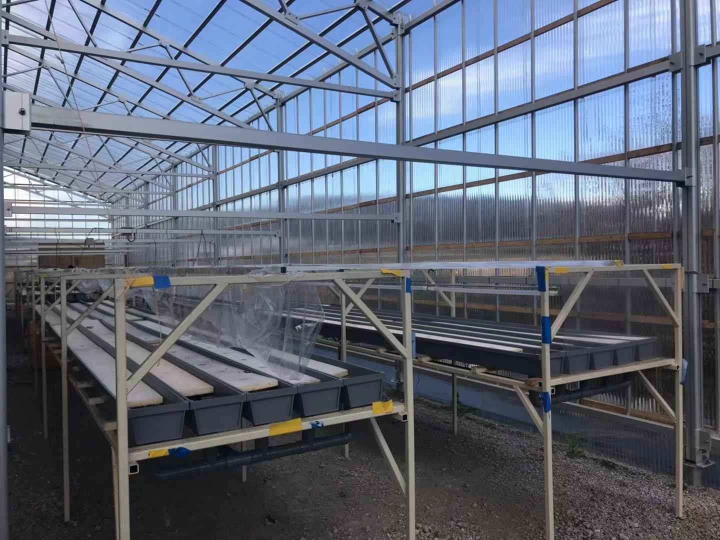 1.12MW Japan Solar Greenhouse Mounting System